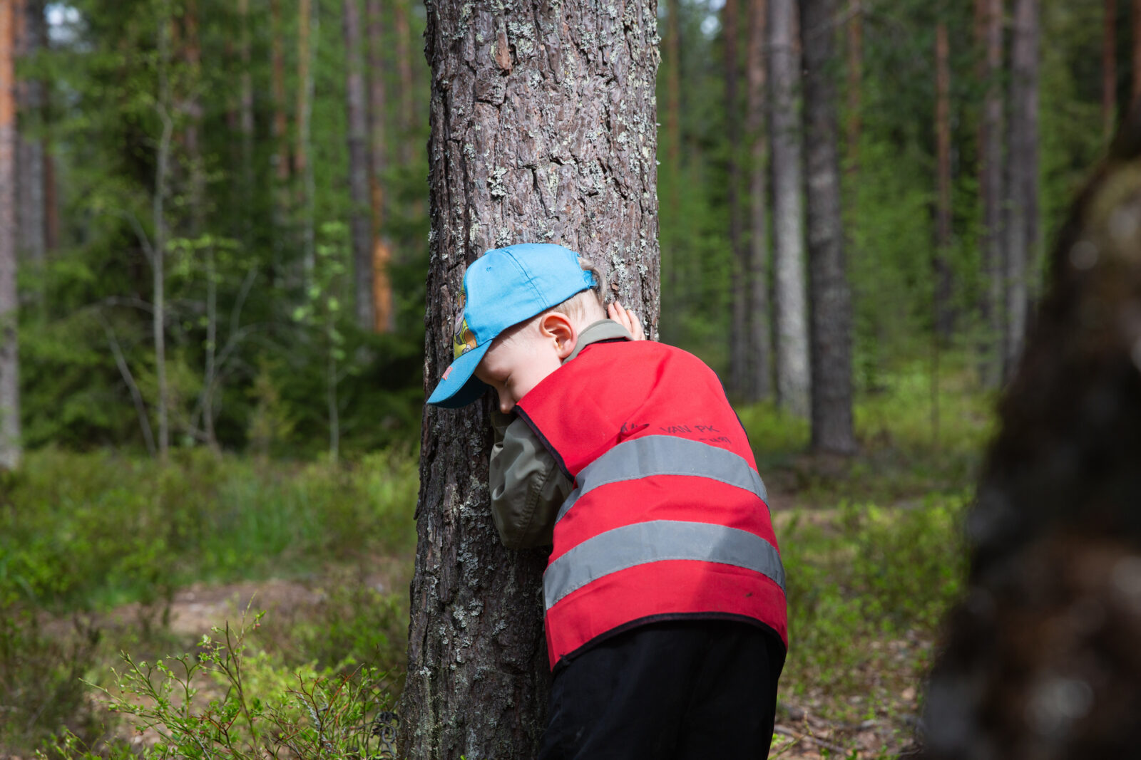 Lahti tuo luonnon osaksi peruskoulun opetusta