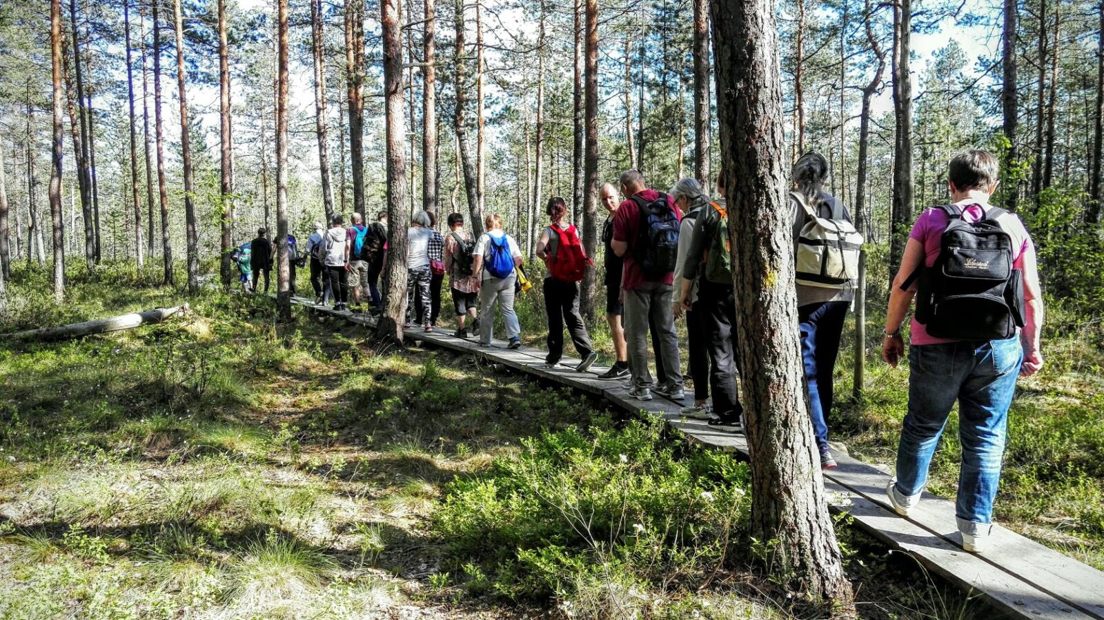 Päijät-Hämeen ympäristöviikot kutsuvat mukaan toimintaan